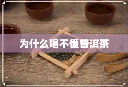 为什么喝不懂普洱茶