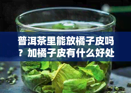 普洱茶里能放橘子皮吗？加橘子皮有什么好处？冲茶喝。