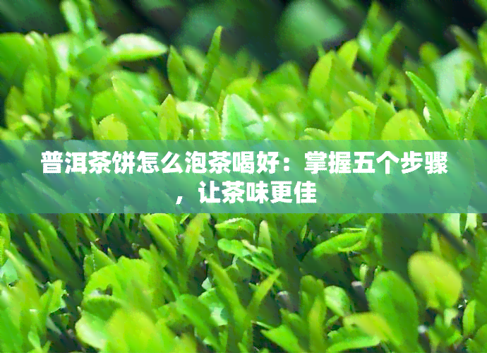 普洱茶饼怎么泡茶喝好：掌握五个步骤，让茶味更佳