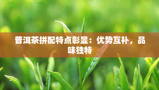 普洱茶拼配特点彰显：优势互补，品味独特