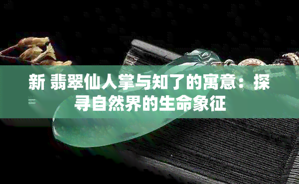 新 翡翠仙人掌与知了的寓意：探寻自然界的生命象征