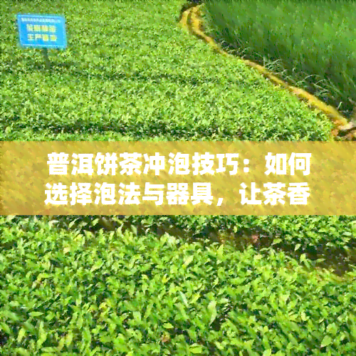 普洱饼茶冲泡技巧：如何选择泡法与器具，让茶香四溢的完美泡法