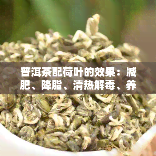 普洱茶配荷叶的效果：减肥、降脂、清热解、养颜美容