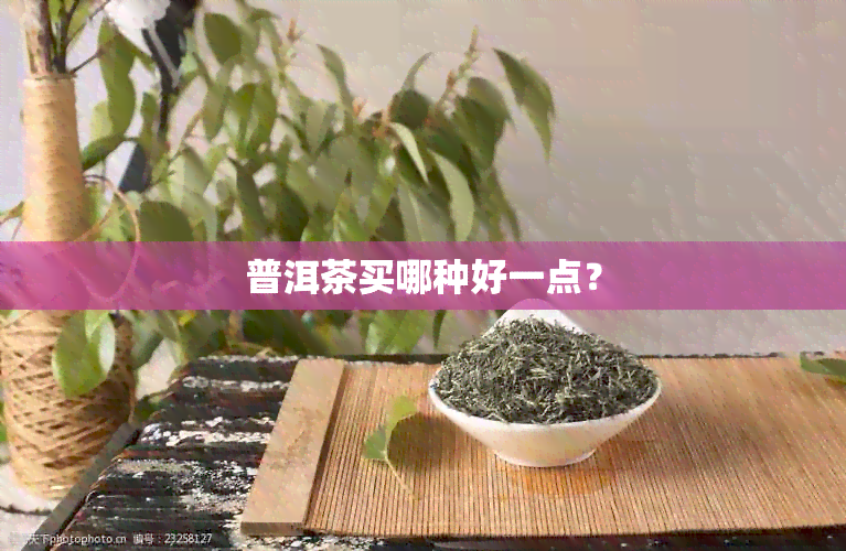 普洱茶买哪种好一点？