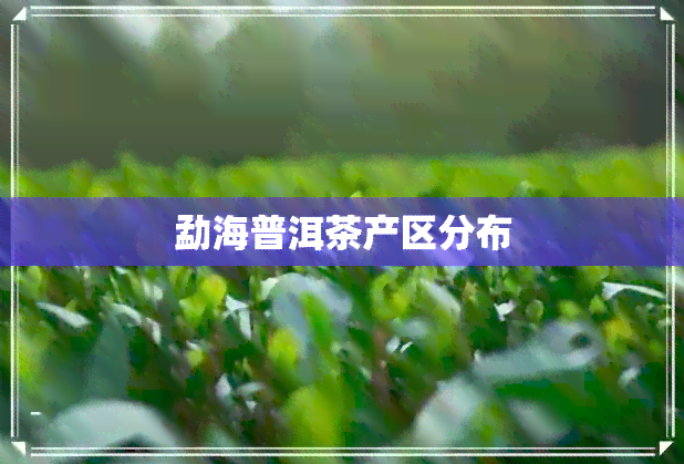 勐海普洱茶产区分布