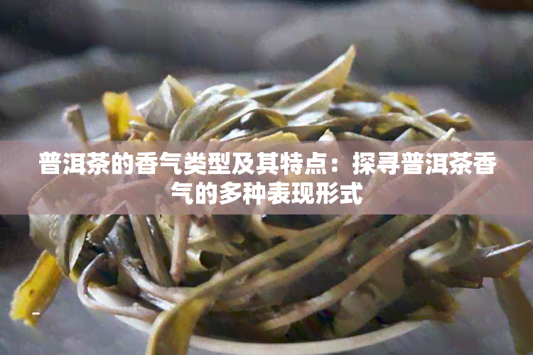 普洱茶的香气类型及其特点：探寻普洱茶香气的多种表现形式