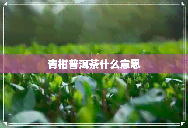 青柑普洱茶什么意思