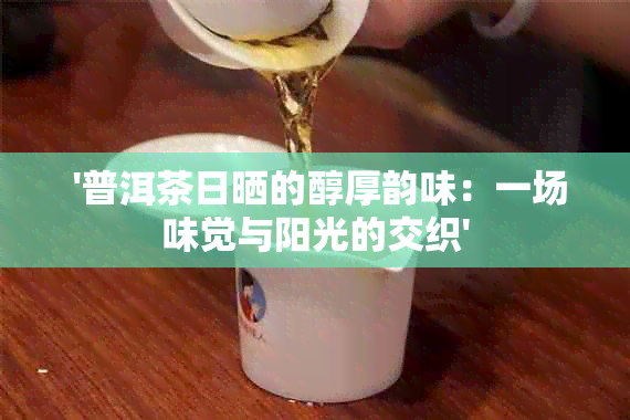  '普洱茶日晒的醇厚韵味：一场味觉与阳光的交织'