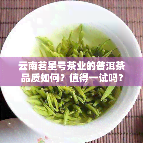 云南茗星号茶业的普洱茶品质如何？值得一试吗？