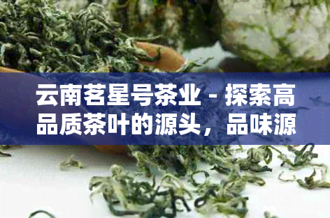 云南茗星号茶业 - 探索高品质茶叶的源头，品味源自云南的独特风味