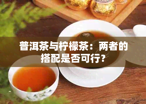 普洱茶与柠檬茶：两者的搭配是否可行？