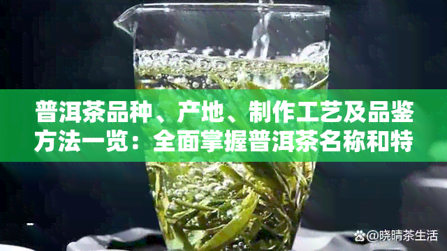 普洱茶品种、产地、制作工艺及品鉴方法一览：全面掌握普洱茶名称和特性