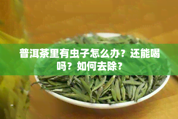 普洱茶里有虫子怎么办？还能喝吗？如何去除？