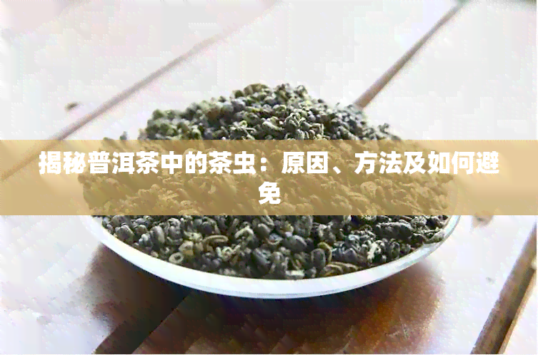 揭秘普洱茶中的茶虫：原因、方法及如何避免