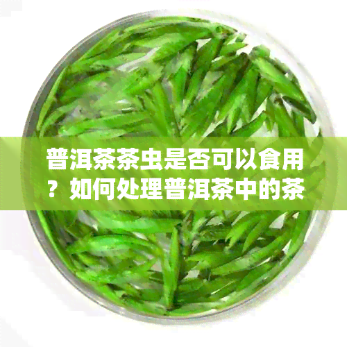 普洱茶茶虫是否可以食用？如何处理普洱茶中的茶虫？