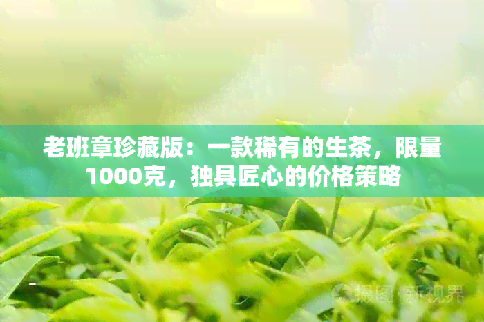 老班章珍藏版：一款稀有的生茶，限量1000克，独具匠心的价格策略