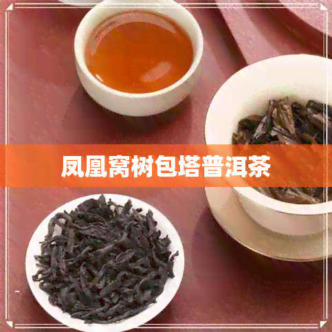 凤凰窝树包塔普洱茶