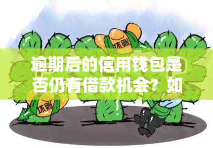 逾期后的信用钱包是否仍有借款机会？如何解决逾期问题以便继续借款？