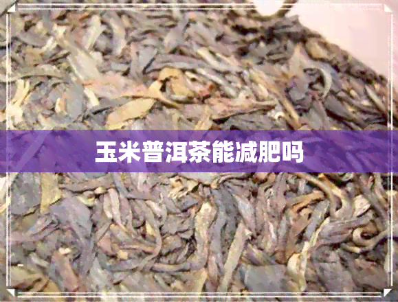 玉米普洱茶能减肥吗