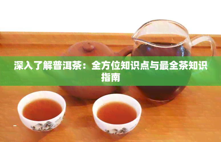 深入了解普洱茶：全方位知识点与最全茶知识指南