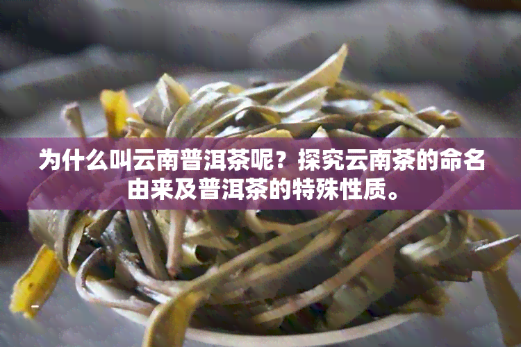 为什么叫云南普洱茶呢？探究云南茶的命名由来及普洱茶的特殊性质。