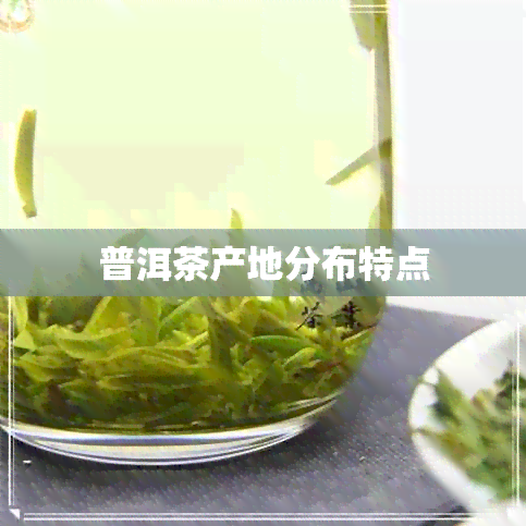 普洱茶产地分布特点