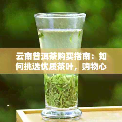 云南普洱茶购买指南：如何挑选优质茶叶，购物心得分享及购物时间