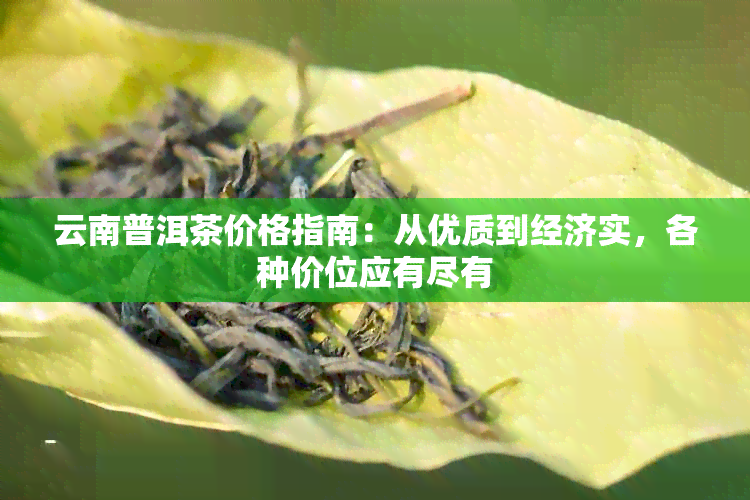 云南普洱茶价格指南：从优质到经济实，各种价位应有尽有