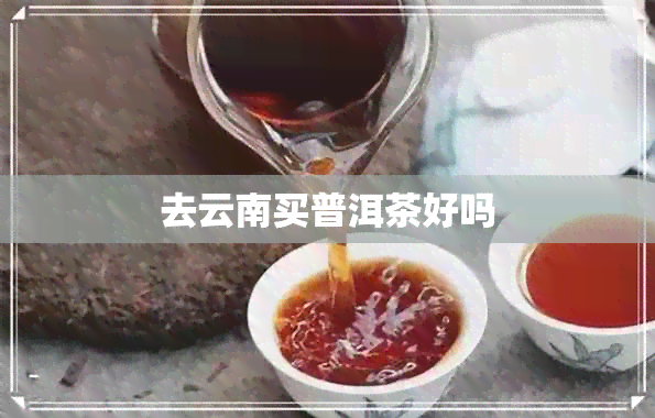 去云南买普洱茶好吗