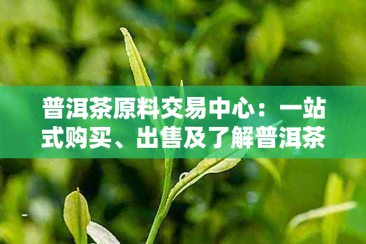 普洱茶原料交易中心：一站式购买、出售及了解普洱茶相关知识的官方网站