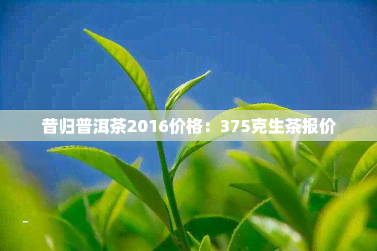 昔归普洱茶2016价格：375克生茶报价