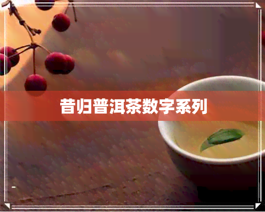 昔归普洱茶数字系列