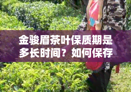 金骏眉茶叶保质期是多长时间？如何保存以长保质期？