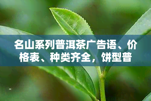 名山系列普洱茶广告语、价格表、种类齐全，饼型普洱茶价格高如何看待？