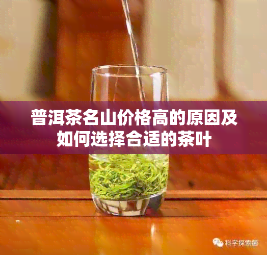 普洱茶名山价格高的原因及如何选择合适的茶叶