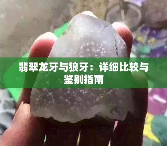 翡翠龙牙与狼牙：详细比较与鉴别指南