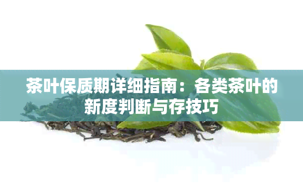 茶叶保质期详细指南：各类茶叶的新度判断与存技巧