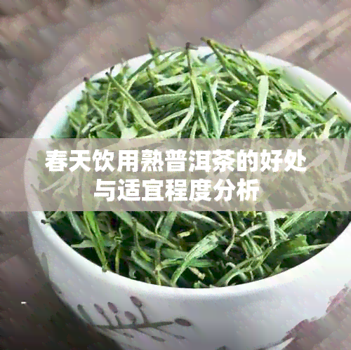 春天饮用熟普洱茶的好处与适宜程度分析