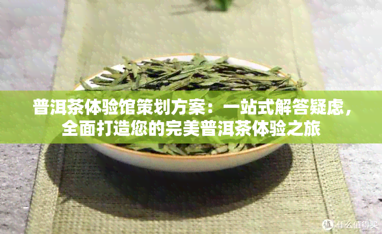 普洱茶体验馆策划方案：一站式解答疑虑，全面打造您的完美普洱茶体验之旅