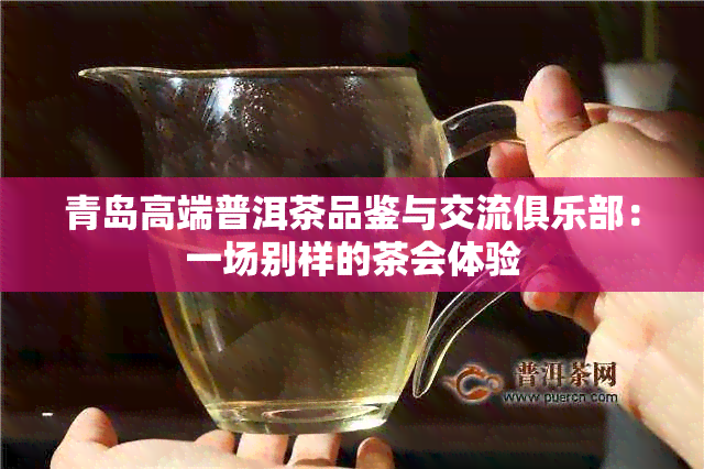 青岛高端普洱茶品鉴与交流俱乐部：一场别样的茶会体验