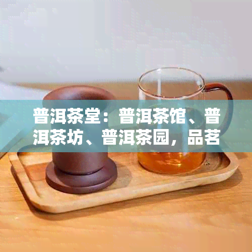 普洱茶堂：普洱茶馆、普洱茶坊、普洱茶园，品茗普洱市茶，探访普洱县茶厂。