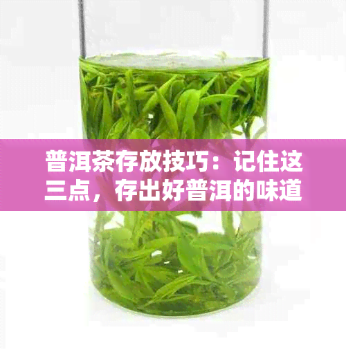 普洱茶存放技巧：记住这三点，存出好普洱的味道和特点！