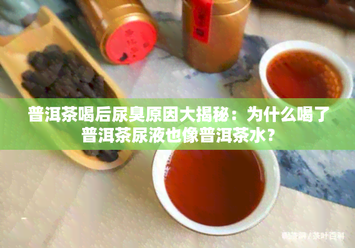 普洱茶喝后尿臭原因大揭秘：为什么喝了普洱茶尿液也像普洱茶水？