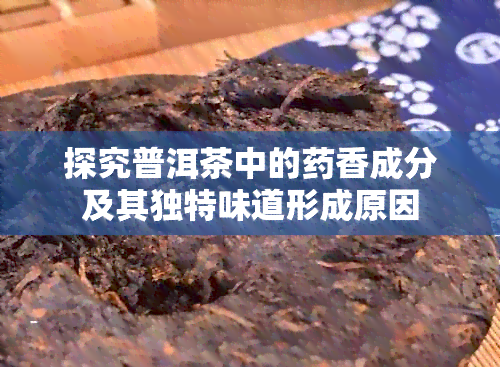 探究普洱茶中的香成分及其独特味道形成原因