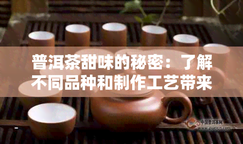 普洱茶甜味的秘密：了解不同品种和制作工艺带来的口感差异