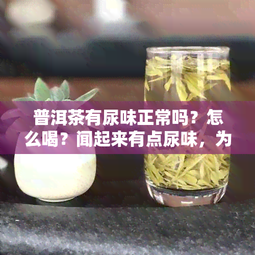 普洱茶有尿味正常吗？怎么喝？闻起来有点尿味，为什么？