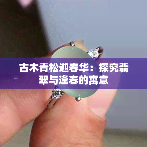 古木青松迎春华：探究翡翠与逢春的寓意