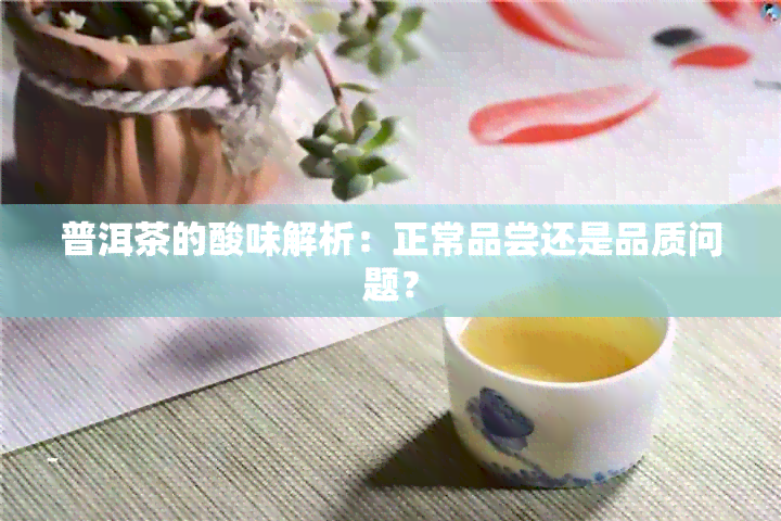 普洱茶的酸味解析：正常品尝还是品质问题？