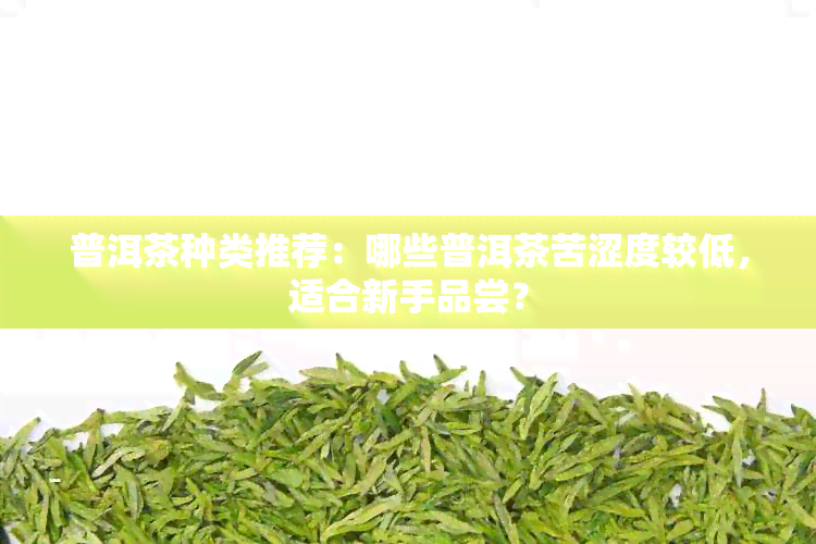 普洱茶种类推荐：哪些普洱茶苦涩度较低，适合新手品尝？