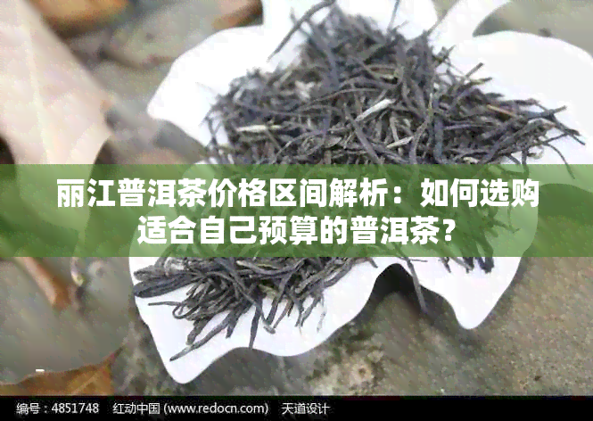 丽江普洱茶价格区间解析：如何选购适合自己预算的普洱茶？